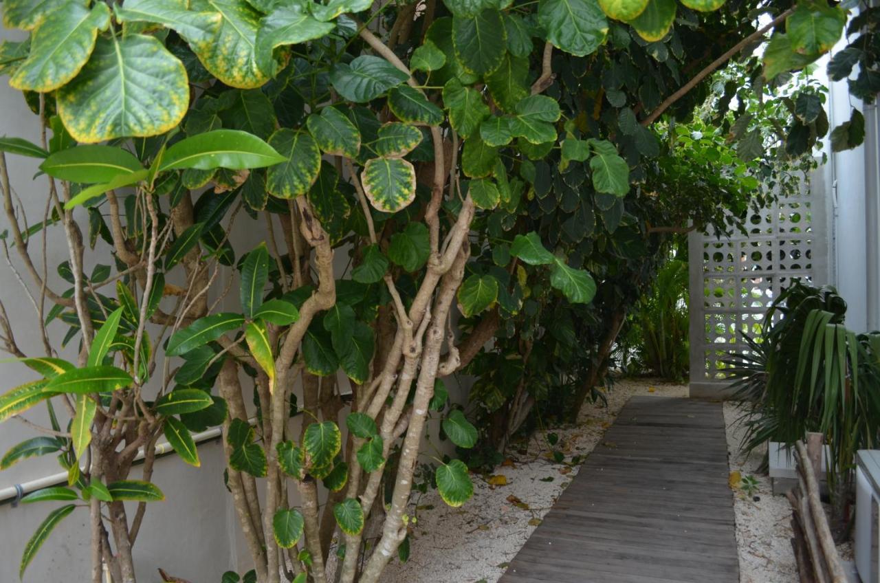 Cielo Neuf Bed & Breakfast แคนคูน ภายนอก รูปภาพ