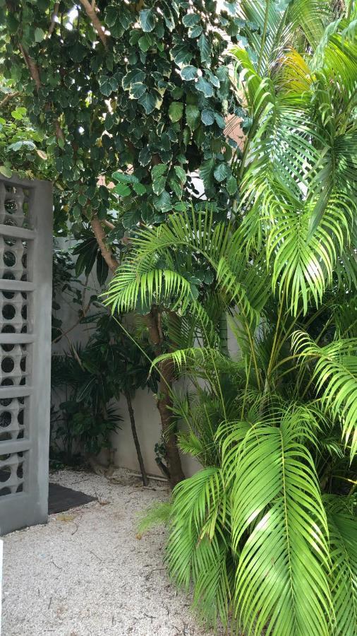Cielo Neuf Bed & Breakfast แคนคูน ภายนอก รูปภาพ